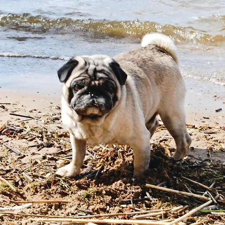 Casa vacanze Alkenvej